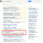 Référencement naturel