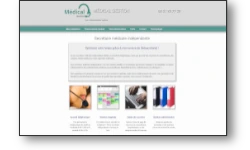 Maintenance du site web Medicalgestion